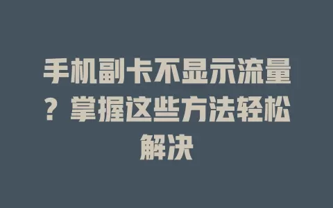 手机副卡不显示流量？掌握这些方法轻松解决