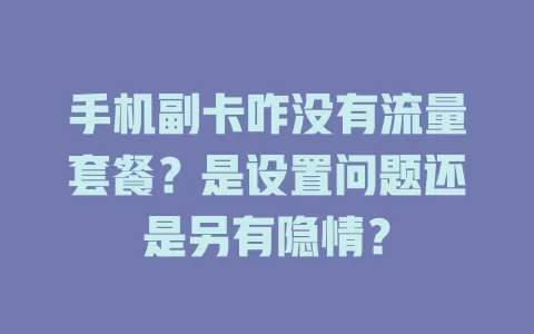 手机副卡咋没有流量套餐？是设置问题还是另有隐情？