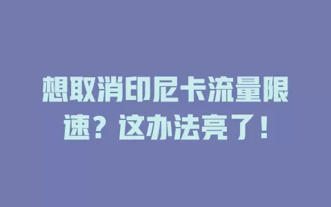想取消印尼卡流量限速？这办法亮了！