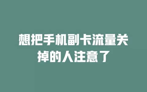 想把手机副卡流量关掉的人注意了