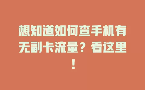 想知道如何查手机有无副卡流量？看这里！