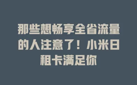 那些想畅享全省流量的人注意了！小米日租卡满足你