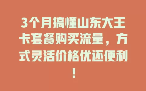 3个月搞懂山东大王卡套餐购买流量，方式灵活价格优还便利！