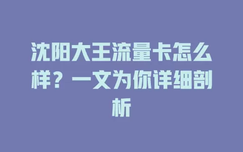 沈阳大王流量卡怎么样？一文为你详细剖析