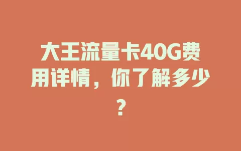 大王流量卡40G费用详情，你了解多少？