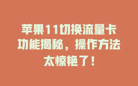 苹果11切换流量卡功能揭秘，操作方法太惊艳了！