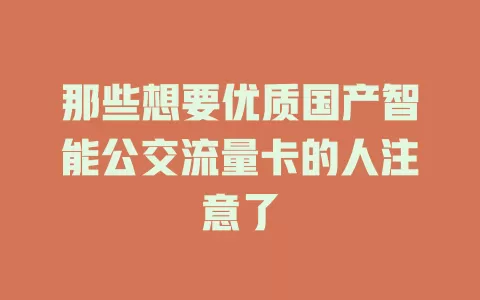 那些想要优质国产智能公交流量卡的人注意了