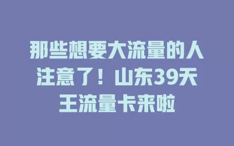 那些想要大流量的人注意了！山东39天王流量卡来啦