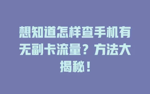 想知道怎样查手机有无副卡流量？方法大揭秘！