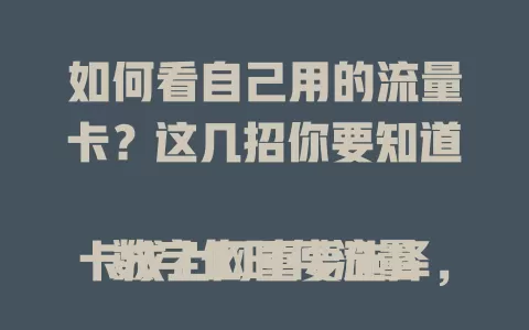 如何看自己用的流量卡？这几招你要知道

数字化时代流量卡成上网重要选择，有时我们会对流量卡情况困惑。教你几招：查手机营业厅、拨客服电话、看实体卡、短信查询，掌握这些方法，合理规划流量，让流量卡更好服务网络生活