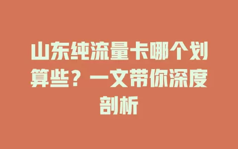 山东纯流量卡哪个划算些？一文带你深度剖析