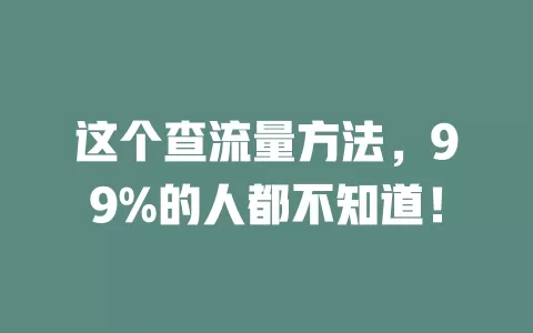 这个查流量方法，99%的人都不知道！