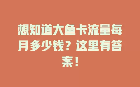 想知道大鱼卡流量每月多少钱？这里有答案！