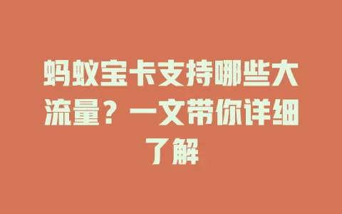 蚂蚁宝卡支持哪些大流量？一文带你详细了解