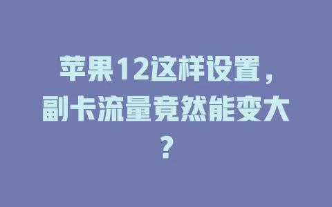 苹果12这样设置，副卡流量竟然能变大？