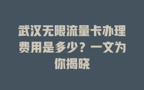 武汉无限流量卡办理费用是多少？一文为你揭晓
