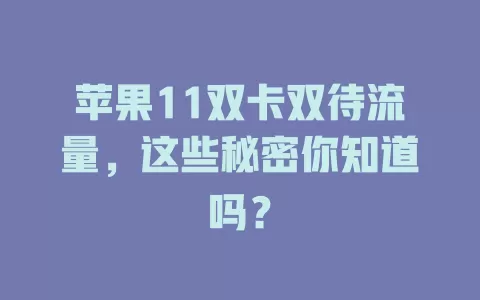 苹果11双卡双待流量，这些秘密你知道吗？