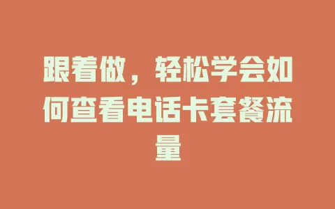跟着做，轻松学会如何查看电话卡套餐流量