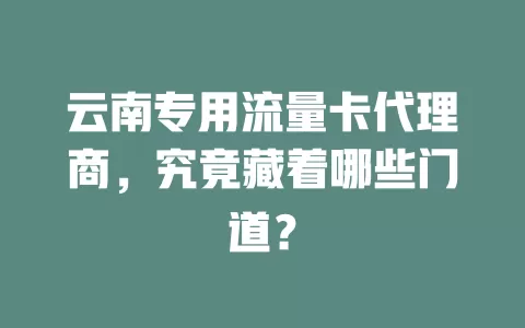 云南专用流量卡代理商，究竟藏着哪些门道？