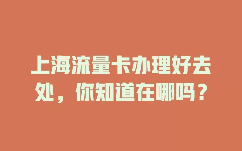 上海流量卡办理好去处，你知道在哪吗？