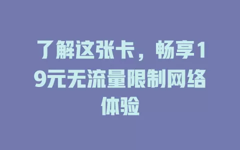 了解这张卡，畅享19元无流量限制网络体验