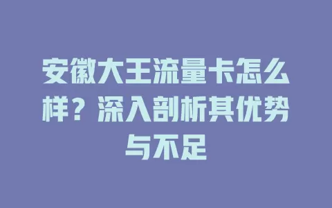 安徽大王流量卡怎么样？深入剖析其优势与不足