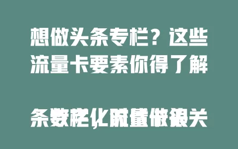 想做头条专栏？这些流量卡要素你得了解

数字化时代做头条专栏，流量卡很关键。流量要充足，网速得快，费用性价比要高，服务质量也不能忽视。综合考量这些因素，选对流量卡，才能助力头条专栏创作顺利前行