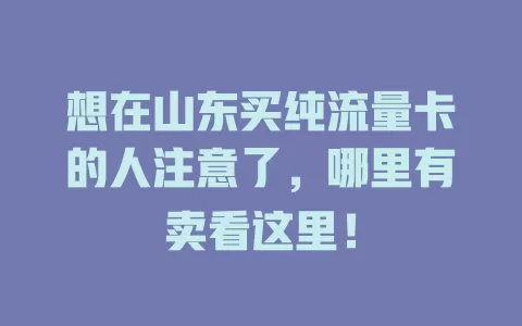 想在山东买纯流量卡的人注意了，哪里有卖看这里！