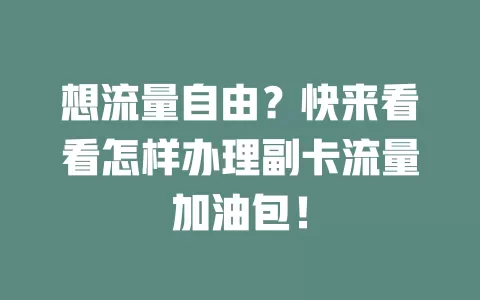想流量自由？快来看看怎样办理副卡流量加油包！