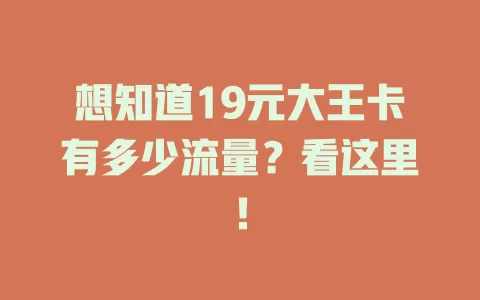 想知道19元大王卡有多少流量？看这里！