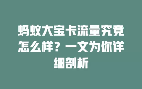 蚂蚁大宝卡流量究竟怎么样？一文为你详细剖析
