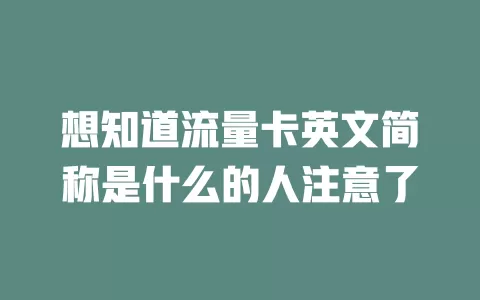 想知道流量卡英文简称是什么的人注意了