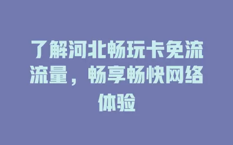 了解河北畅玩卡免流流量，畅享畅快网络体验