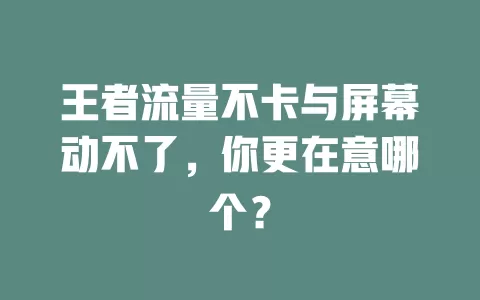 王者流量不卡与屏幕动不了，你更在意哪个？