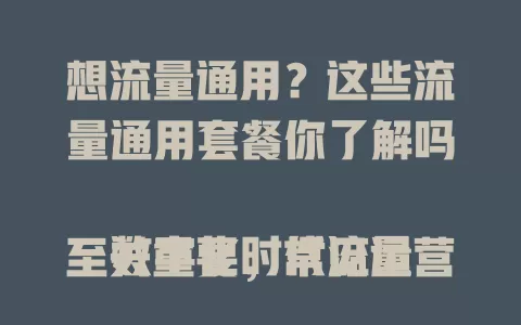 想流量通用？这些流量通用套餐你了解吗

数字化时代流量至关重要，常见运营商有含几十GB通用流量套餐，不同卡有特色，出差找全国通用的，选时兼顾费用，结合需求预算挑适合的，让网络生活更便捷