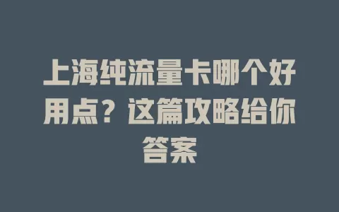 上海纯流量卡哪个好用点？这篇攻略给你答案