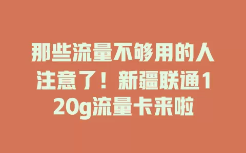 那些流量不够用的人注意了！新疆联通120g流量卡来啦