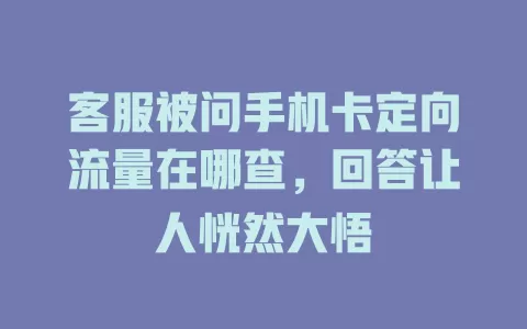 客服被问手机卡定向流量在哪查，回答让人恍然大悟