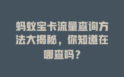 蚂蚁宝卡流量查询方法大揭秘，你知道在哪查吗？