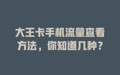 大王卡手机流量查看方法，你知道几种？