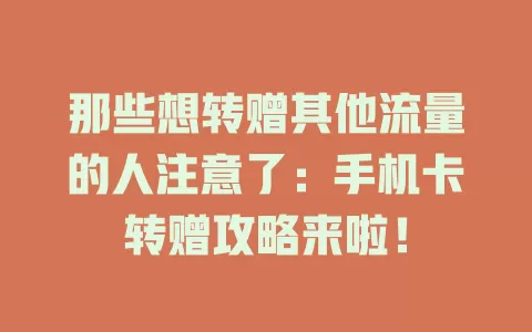 那些想转赠其他流量的人注意了：手机卡转赠攻略来啦！