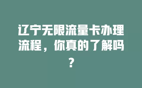 辽宁无限流量卡办理流程，你真的了解吗？