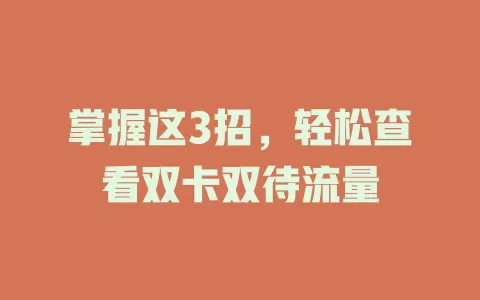 掌握这3招，轻松查看双卡双待流量