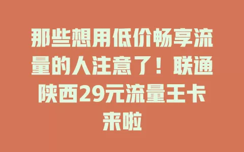 那些想用低价畅享流量的人注意了！联通陕西29元流量王卡来啦