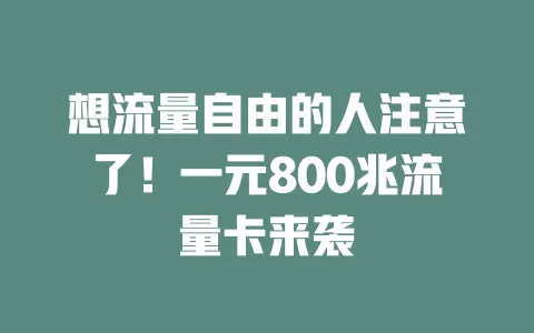 想流量自由的人注意了！一元800兆流量卡来袭