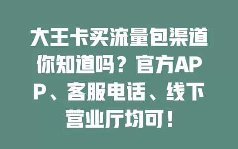 大王卡买流量包渠道你知道吗？官方APP、客服电话、线下营业厅均可！