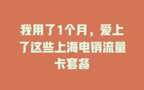 我用了1个月，爱上了这些上海电销流量卡套餐