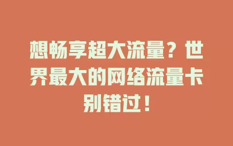 想畅享超大流量？世界最大的网络流量卡别错过！