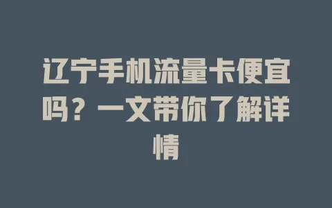 辽宁手机流量卡便宜吗？一文带你了解详情