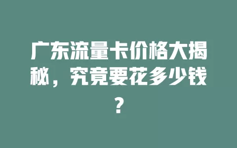 广东流量卡价格大揭秘，究竟要花多少钱？